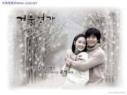 冬日恋歌,浪漫旋律中的温暖邂逅